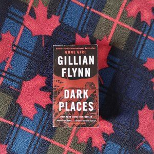 📚 3/$15 or 5/$20 📚 Novel - Dark Places
